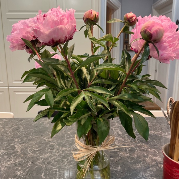 Meet your Posher, Bethany - Picture 1 of 1